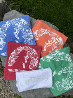 IMG_0371.JPG Thumbnail